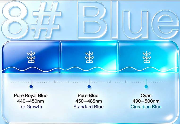 Blue Color 440nm-500nm Pure Royal Blue 440-450nm for Growth Pure Blue 450-485nm Standard Blue Cyan 490–500nm (Circadian Blue)